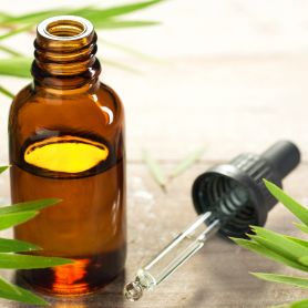 Melaleuca oil a key ingredient in Dynavyte's Stop Greasy