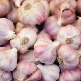 Garlic a key ingredient in Dynavyte's Forcevital