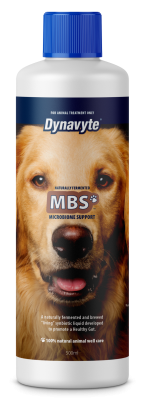 Big House Dog MBS