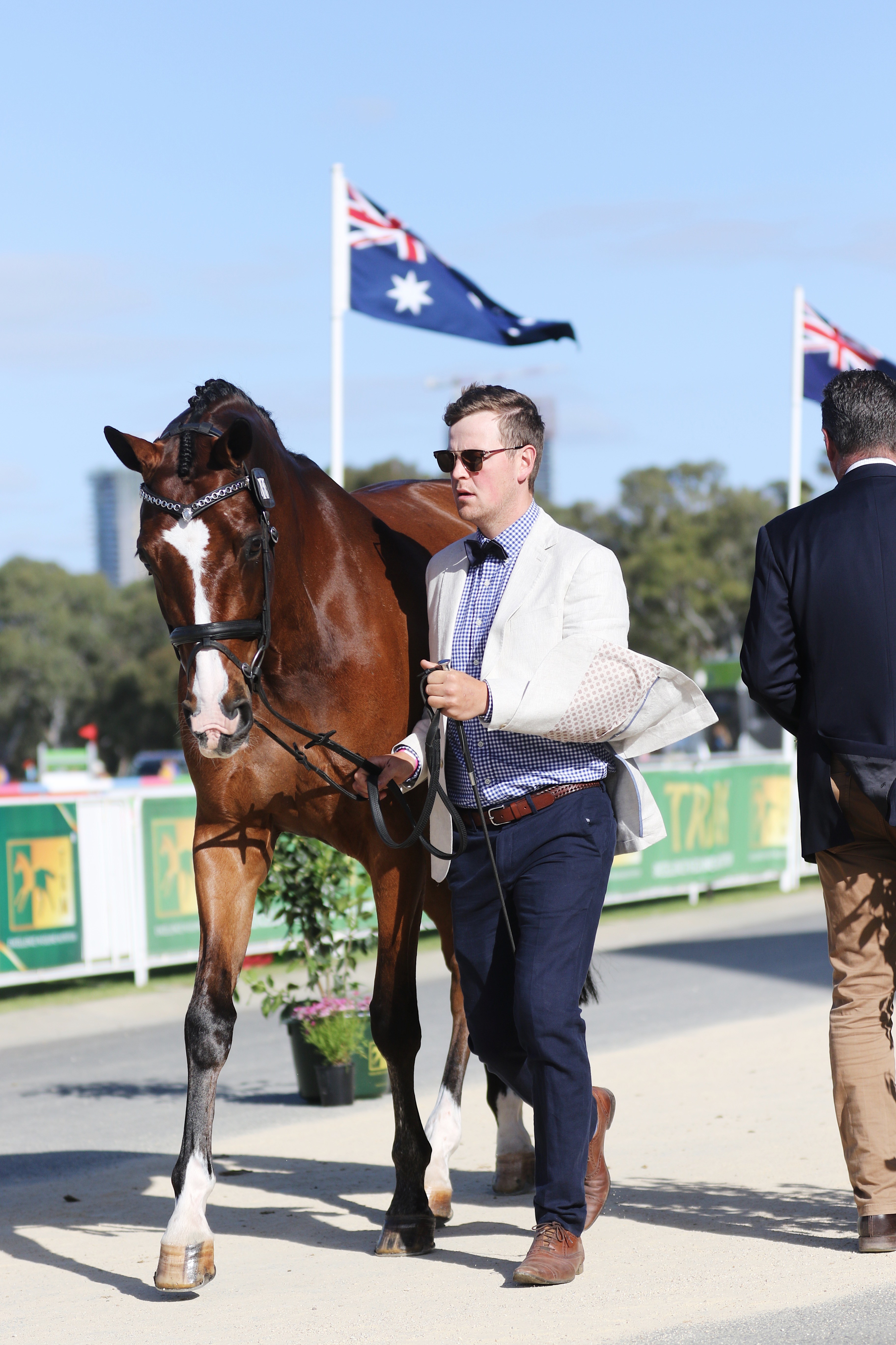 Andrew trotting up